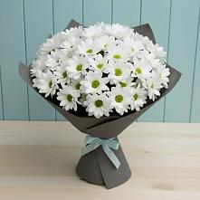Букет цветов из:  Хризантемы в Камышине