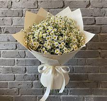 Букет цветов из:  Ромашки в Камышине