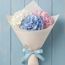 Букет цветов из:  Гортензия #REPLACE_PRED# Камышине