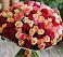 Букет 101 Разноцветная роза в Камышине