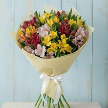 Букет цветов из:  Альстромерии в Камышине