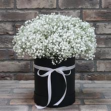 Цветочная композиция из Гипсофила в шляпной коробке в Камышине