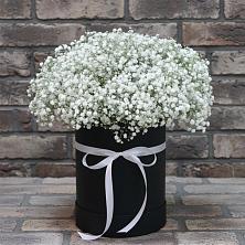 Цветочная композиция из Гипсофила в шляпной коробке в Камышине