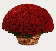 Премиум букет из: Розы в Камышине