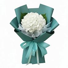Букет цветов из:  Гортензия в Камышине
